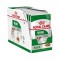 Royal Canin 12x85 gr Mini Adult Yetişkin Yaş Köpek Maması